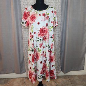 NWOT LuLaRoe Jessie Dress M